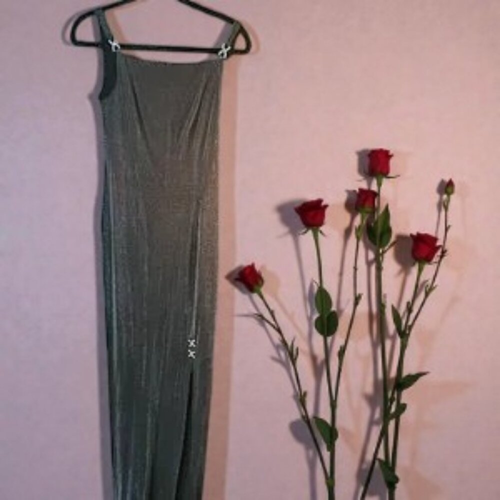 Elegant Silver Black Sleeveless Gown